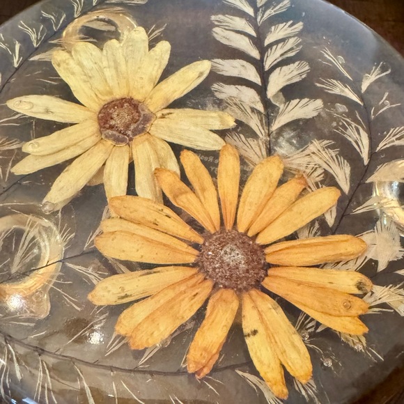 Vintage 50s lucite pressed flower coasters trivet set European antique home - Picture 13 of 14